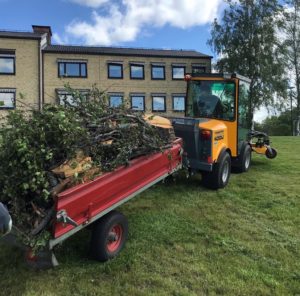 Trädgårdstraktor med släpvagn lastad med trädgrenar