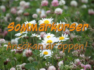 Sommarbild med texten "Sommarkurser Ansökan är öppen!"