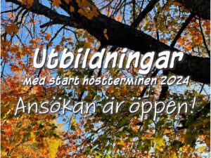 Utbildningar med start höstterminen 2024 - ansökan är öppen!