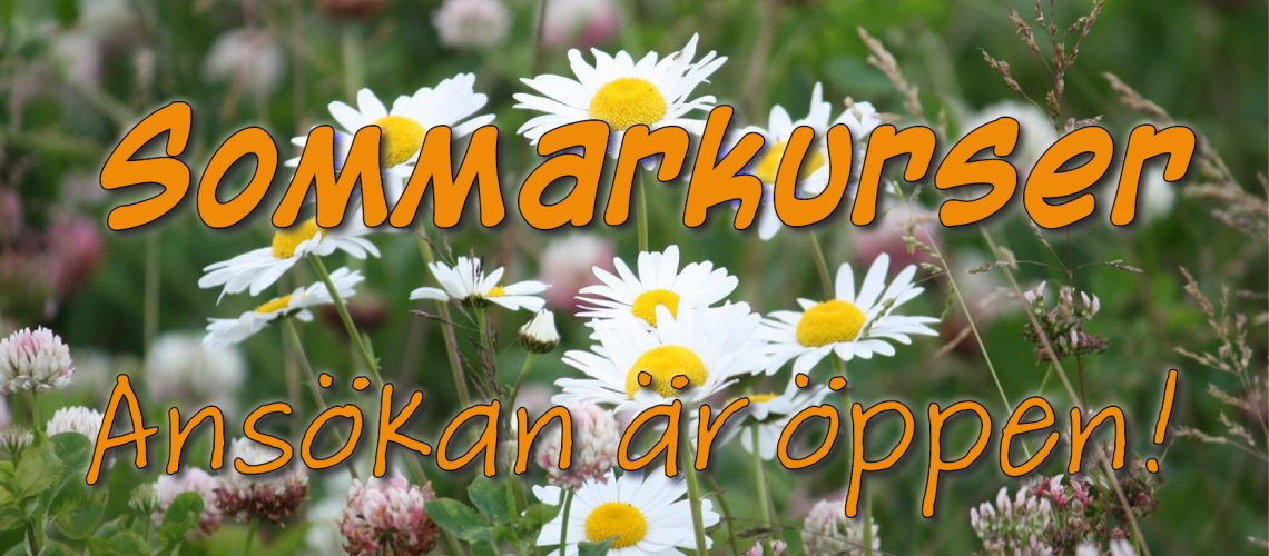 Sommarbild med texten "Sommarkurser Ansökan är öppen!"