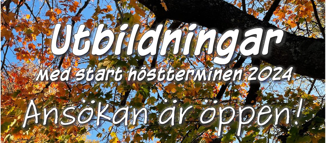 Utbildningar med start höstterminen 2024 - ansökan är öppen!