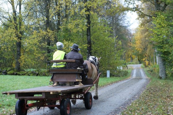 Två personer sitter på en vagn dragen av en häst. Personerna har ryggen mot kameran.