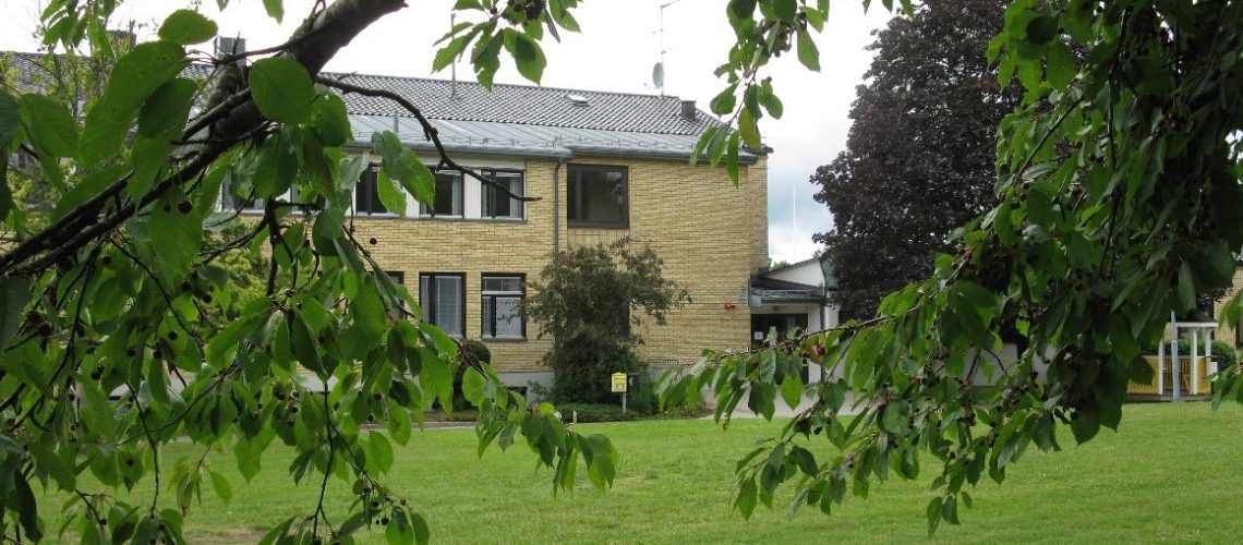 Huvudbyggnaden sett igenom lövverket på ett träd.